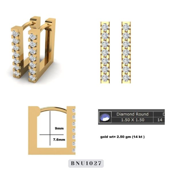 BNU1028 2